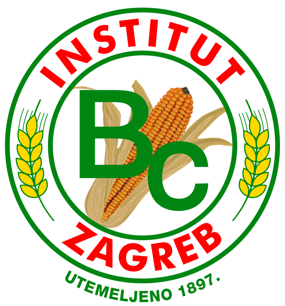 Sjeme hibridnog kukuruza