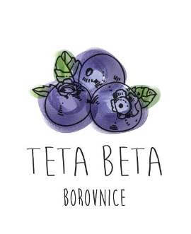 Eko američka borovnica